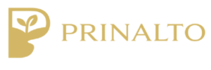 logo2